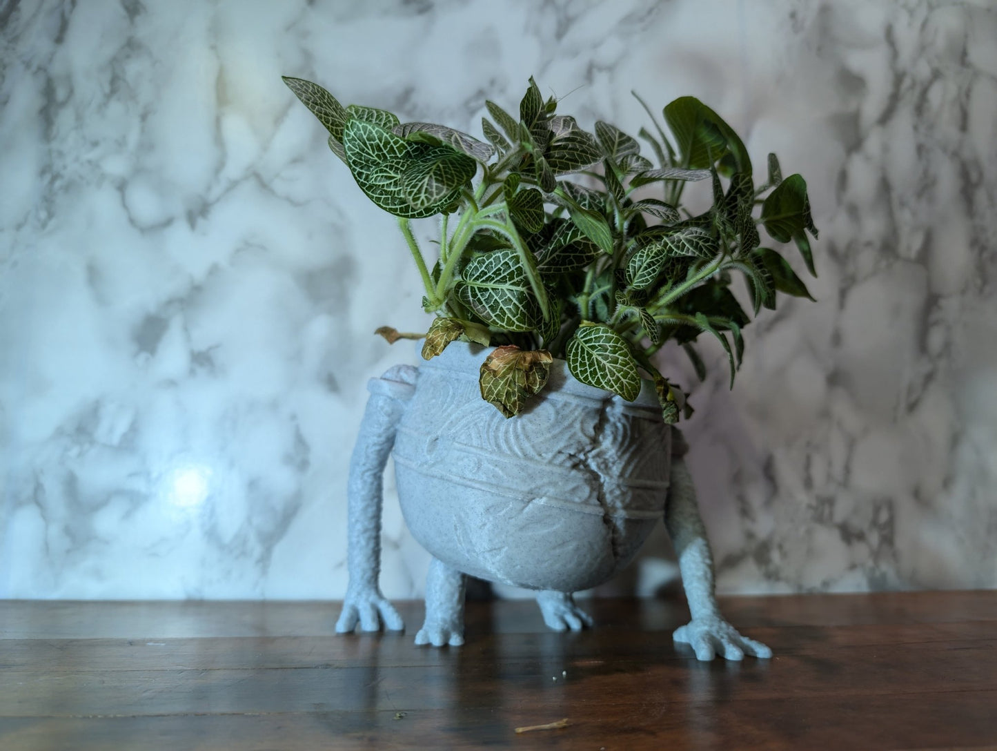 Walking Planter - Charlay Creations